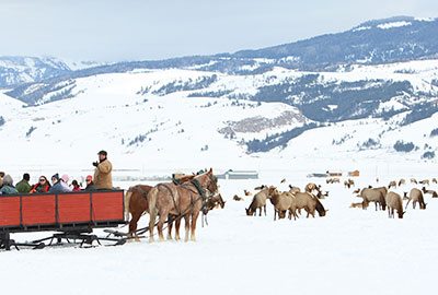 Sleigh-Ride Sleigh-Ride