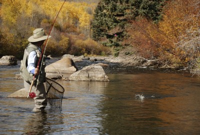 Jackson Hole Luxury Hotel | Rustic Inn Creekside Resort & Spa