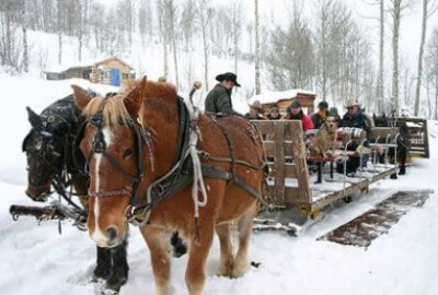 Sleigh Sleigh