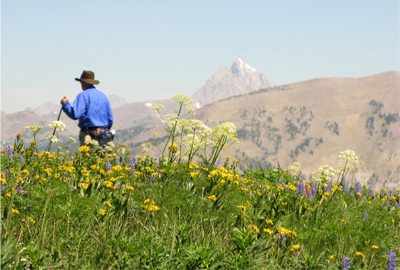 Man hiking in a field of grass and flowers in the mountains