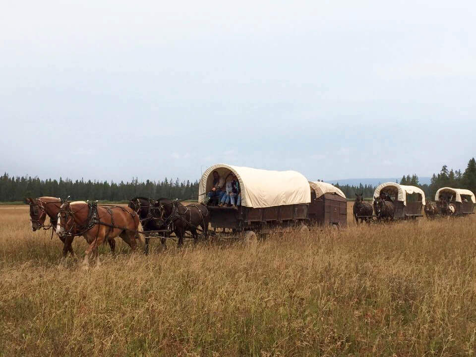 wagon train riding through field in Fall