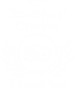 2020 Tripadvisor Traveler's Choice logo